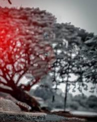 Picasrt Instagram Hd Editing Background download