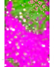 Picsart Cb background free