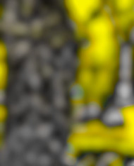 Picsart cb backgrounds by totalpng