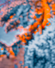 Picsart CB Editing Background 1080p 4k Download (2)