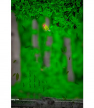 Picsart Cb Editing Background