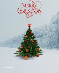 Picsart christmas editing background hd