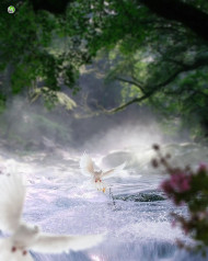 Picsart Editing Background Download