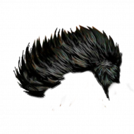 Picsart editing hair png