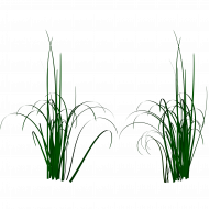 Picsart grass png download