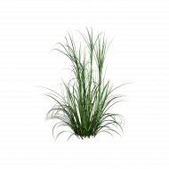 Picsart grass png download