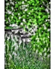 Picsart Hd cb photo editing background