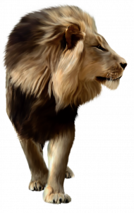 Picsart hd lion png