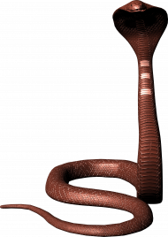 Picsart Hd snake png