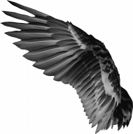Picsart hd wings png download
