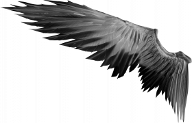 Picsart hd wings png download