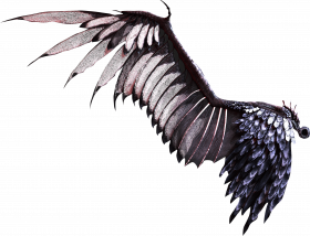 Picsart hd wings png download