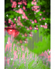 Picsart Latest Cb Hd Background Heavy Bokeh Blur