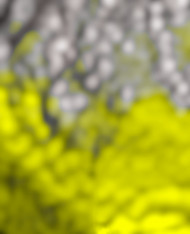 Picsart Latest Cb Manipulation Editing Background 2022