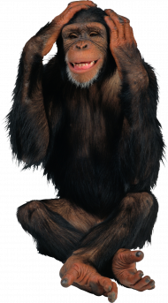 Picsart monkey editing png