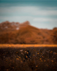 Picsart new cb editing background (1)