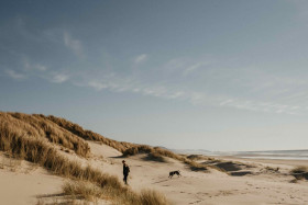 Picsart New Trending editing background