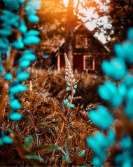 Picsart & Photoshop Editing Background