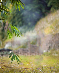 Picsart & Photoshop Editing Background