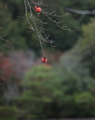 Picsart & Photoshop Editing Background (6)