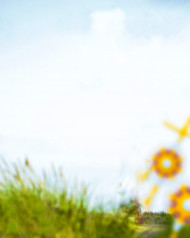 Picsart Raksha bandhan editing Background