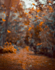 Picsart realstic hd editing backgrounds