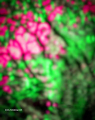 Picsart snapseed cb background for editing