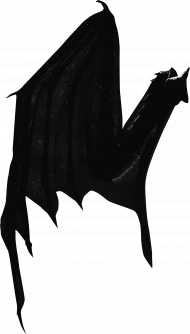 Picsart transprent wing png