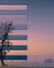 Picsart visual Editing background png download  (13)