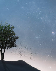 Picsart visual Editing background png download  (18)