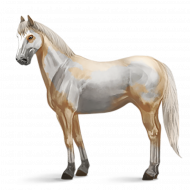 Picsart white horse image with transparent background