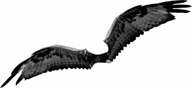 Picsart wing png editing