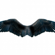 Picsart wing transprent background