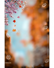 Picsrt blur hd cb editing background