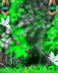 piegon cb editing background