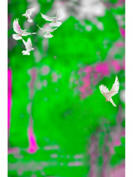 Pigeon cb editing background