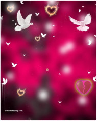 Pigeon photoshop cb editing background