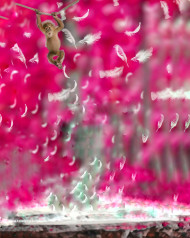 Pink Cb Editing Background