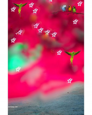 Pink hd snapseed cb editing background