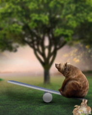 Playing Bear Poster Photo Editing Background HD   1080x1350