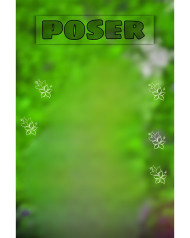 Poser cb edit background