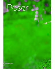 Poser photoshop hd cb editing background