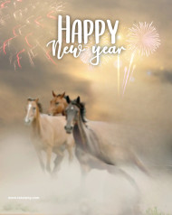Poster new year editing background