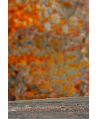 Poster Work Hd Backgrounds For Picsart And Photoshop