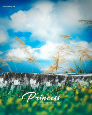 Princess Hd Edotong Background