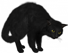 Pure black Cat Png Transparent Background