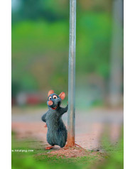 Rabbit cb background free download