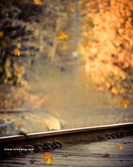 Rail track cb background by totalpng