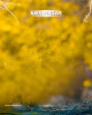 Rain Season Trending Cb editing Bcakground
