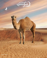 Ramdan kareem eid mubarak background hd